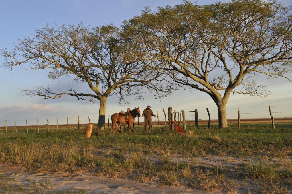 Hotel Ñande Retá Colonia Carlos Pellegrini  Esterno foto